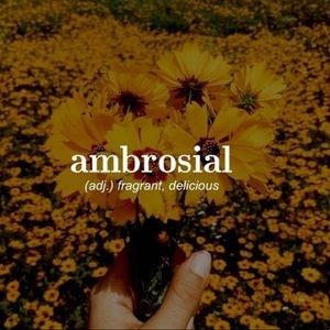 Meet your Posher, Ashley